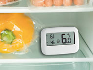 Termómetro para frigorífico y congelador TFA 30.1042 